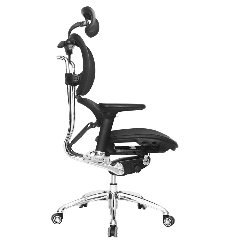 ERGO HUMAN